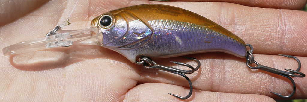 レビュー高評価アイテム特集｜ファッション通販 キムケン的「魚に見せない」ルアーセレクト | 釣りの総合動画 ルアー・フライ